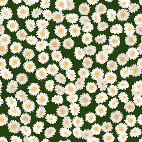 Daisies on green background pattern vector