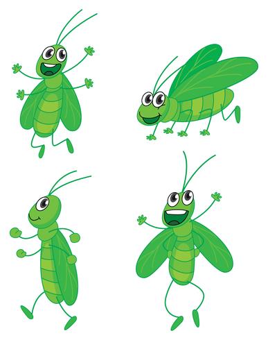 A four grasshoppers vector