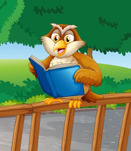 An owl reading a blue book  vector