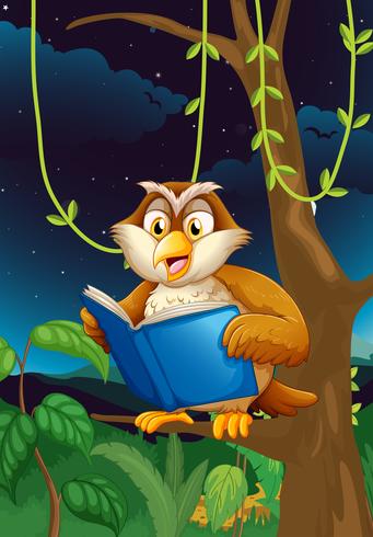 An owl reading vector