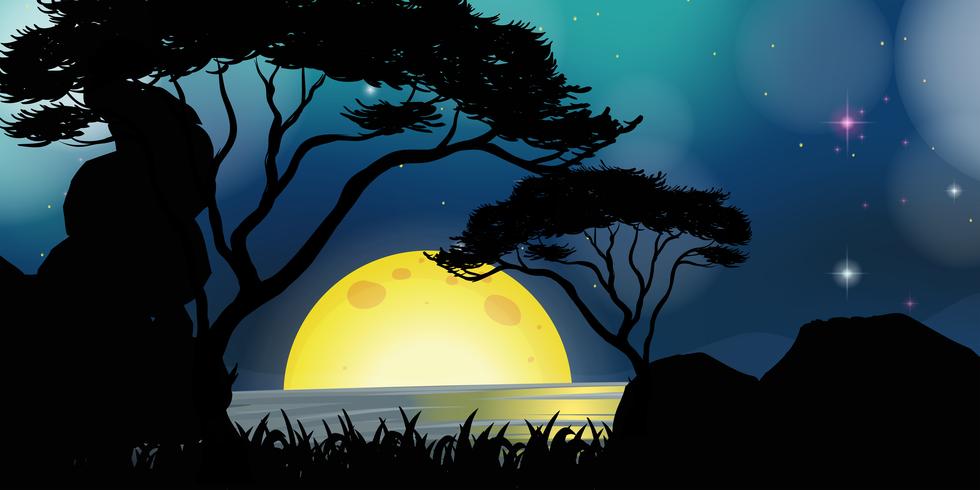 Silhouette scene with fullmoon at night vector