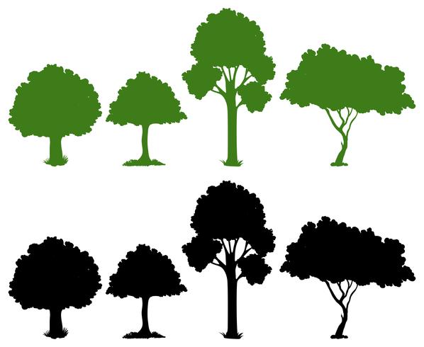 Conjunto de arbol silueta vector