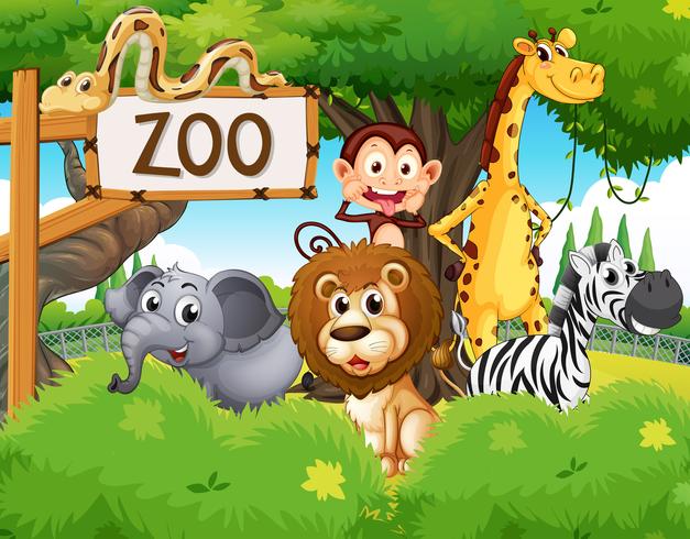 Wild animals at the zoo vector