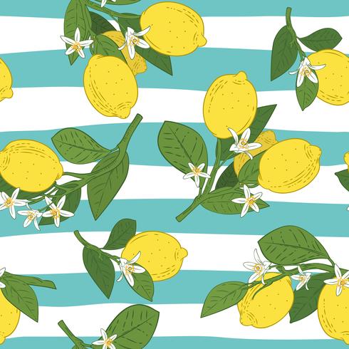 Branches with lemons, green leaves and flowers on blue background vector