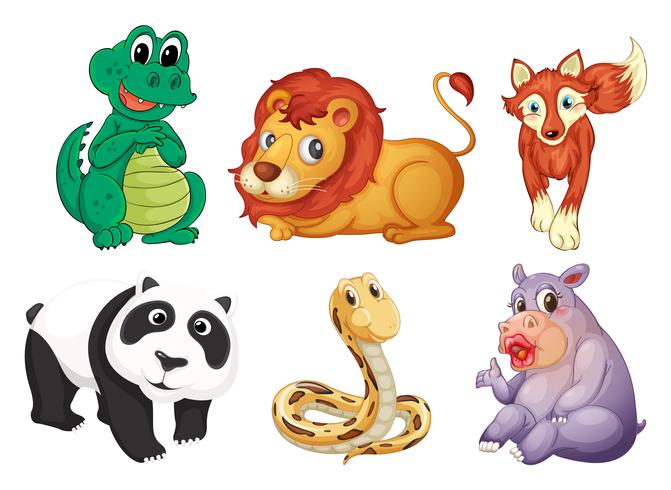 Six different kinds of animals vector