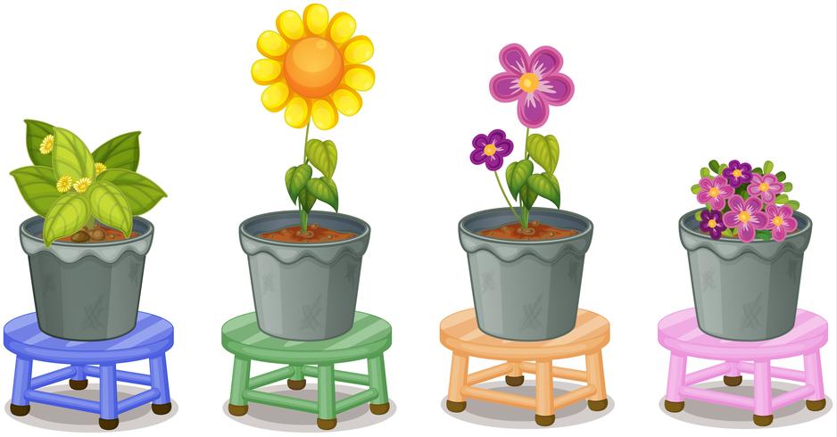 Various potted plants vector