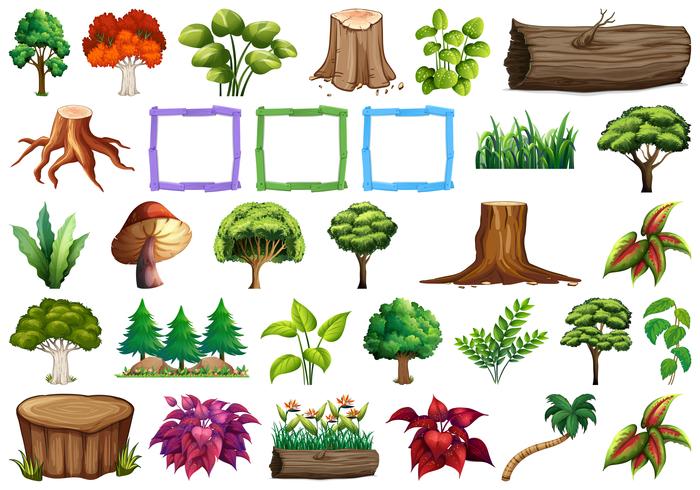 Conjunto de elementos de la naturaleza. vector