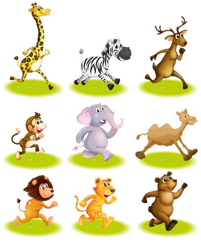 Running animals vector