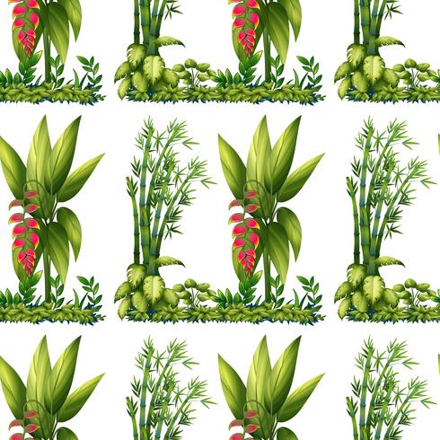 Seamless plants vector