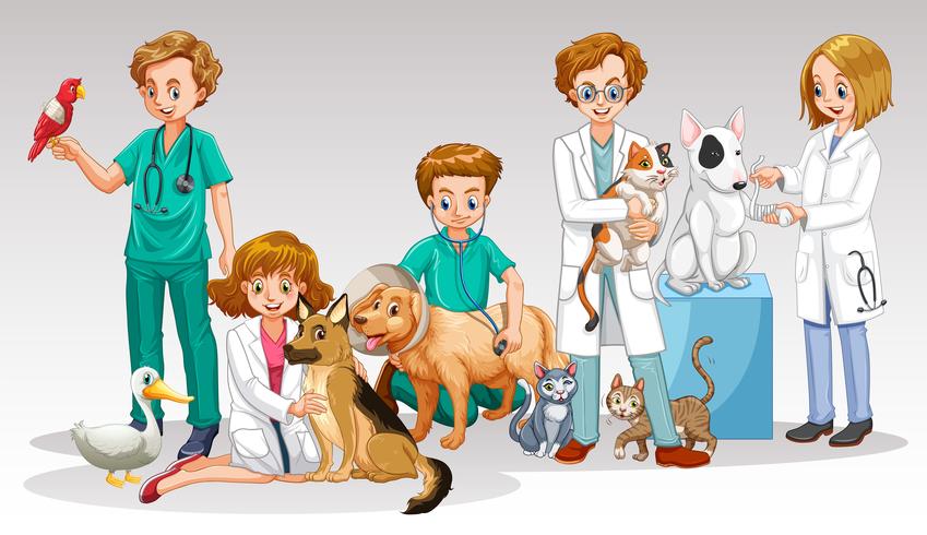 A Vet Doctor Team on White Background vector