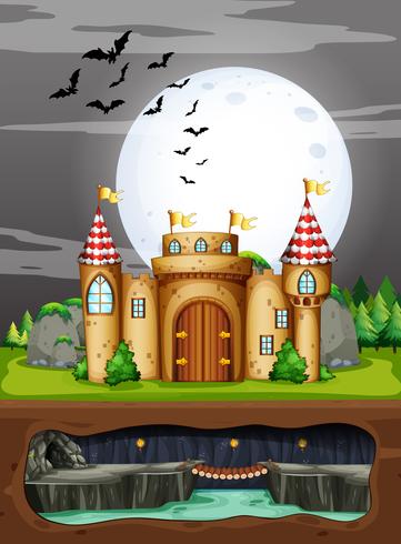 A Castle in the Dark Night vector