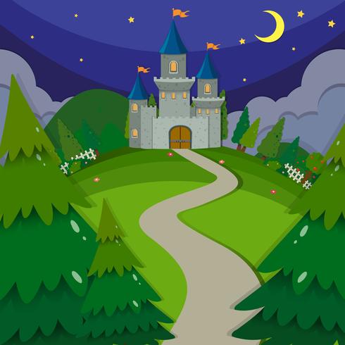 Castle towers at night vector