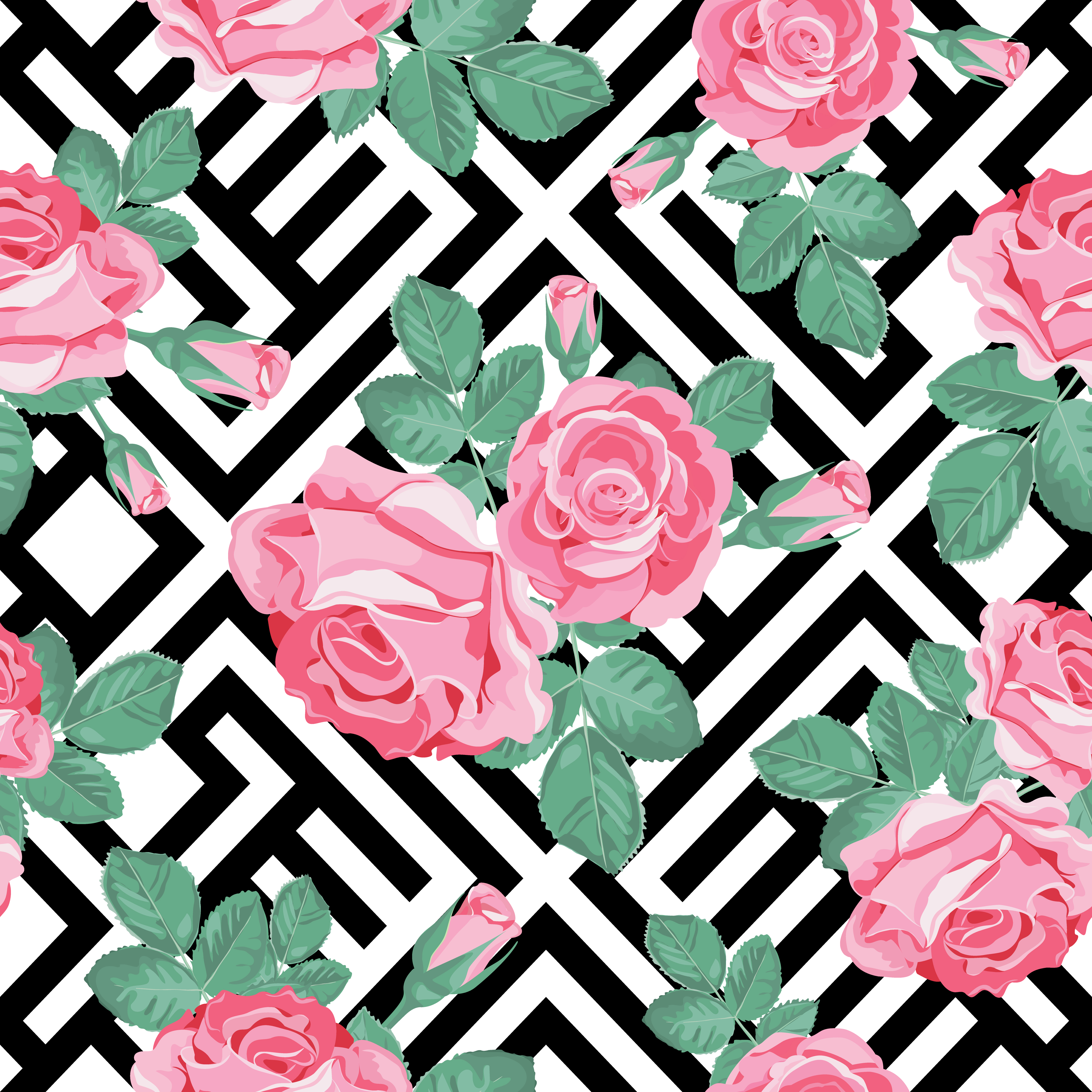 Floral pattern. Pink roses with leaves on black and white geometric