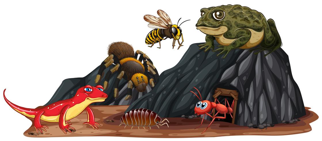 Reptiles e insectos en la naturaleza. vector