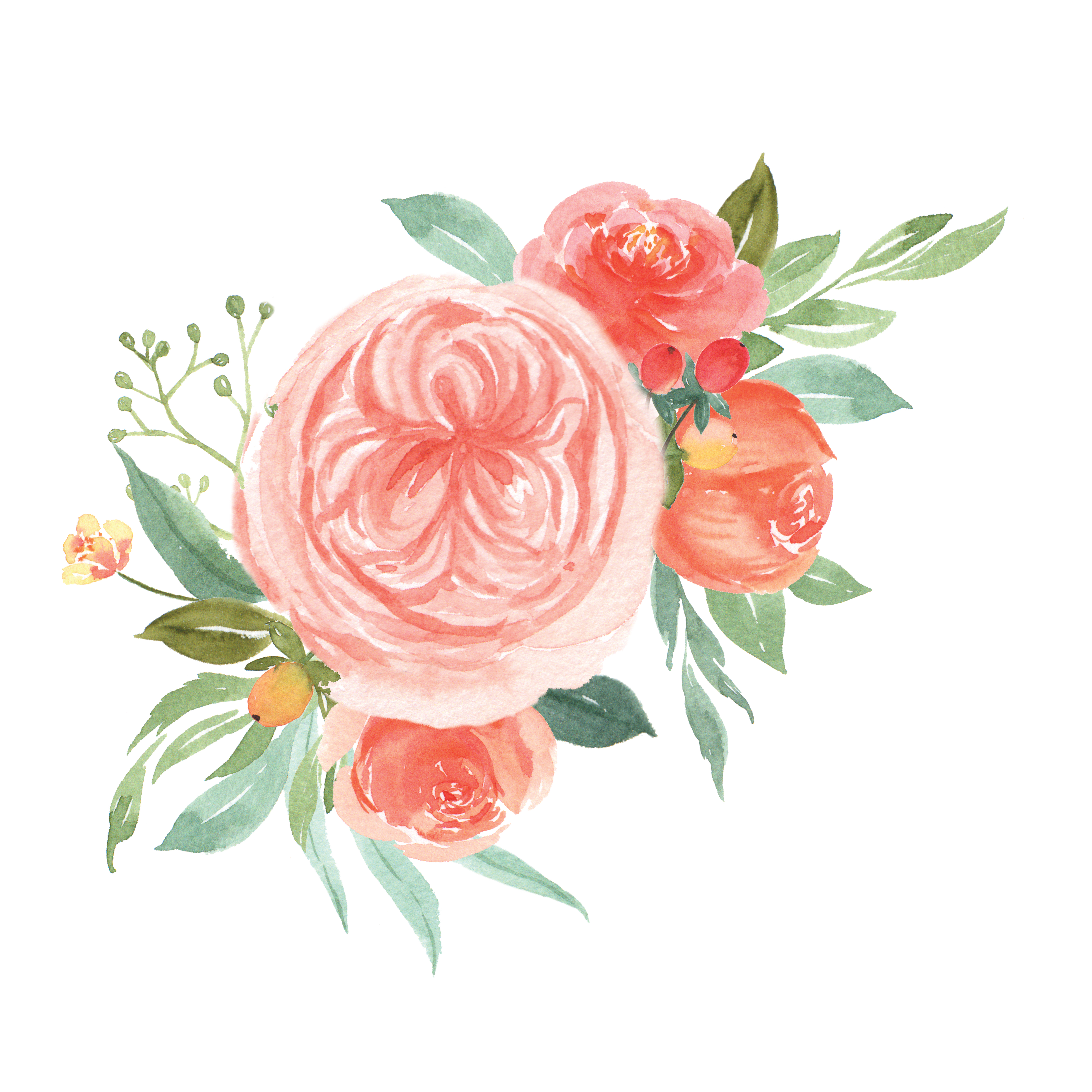 Watercolor florals hand painted bouquets lush flowers llustration