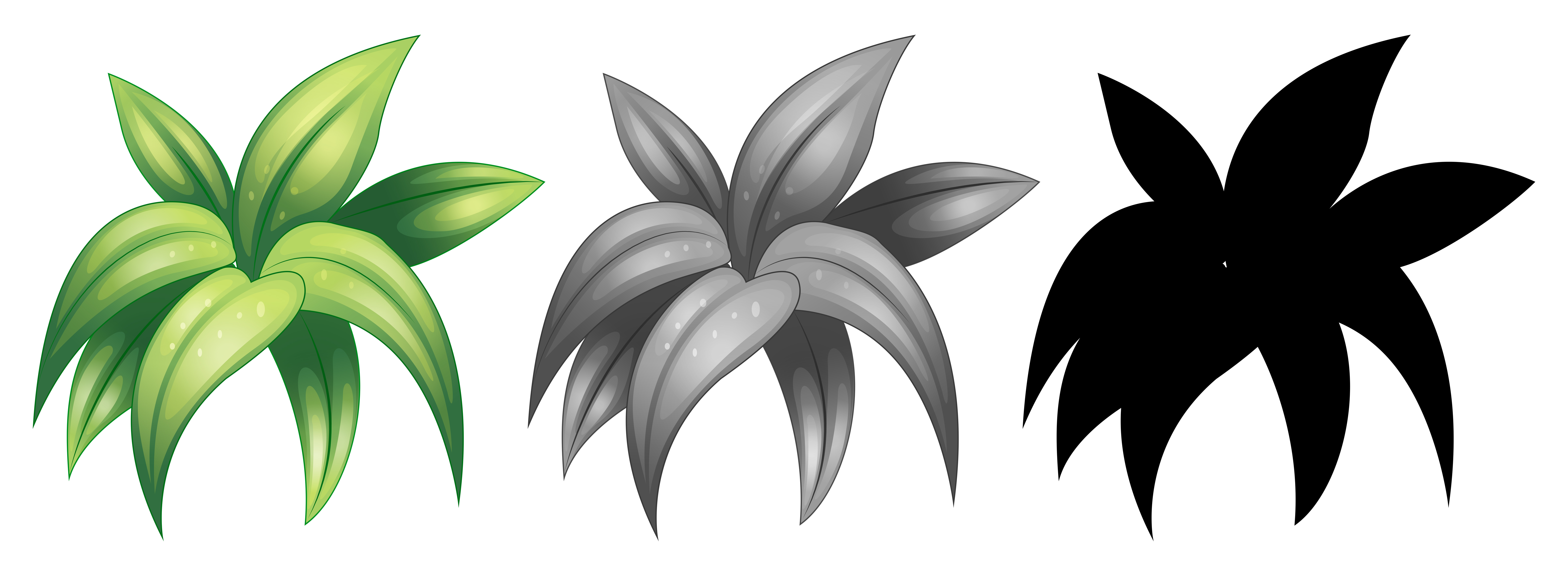 Set of isolated plant 361703 Vector Art at Vecteezy