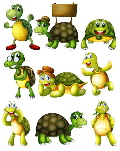 Turtle  actions vector