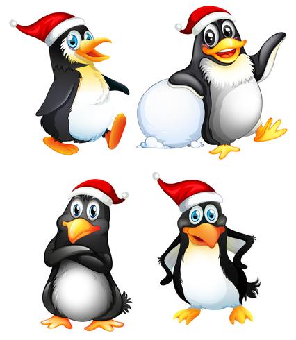 Conjunto de lindo personaje de pingüino vector