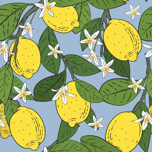 Seamless pattern of branches with lemons, green leaves and flowers on blue. Citrus fruits background. Vector illustration