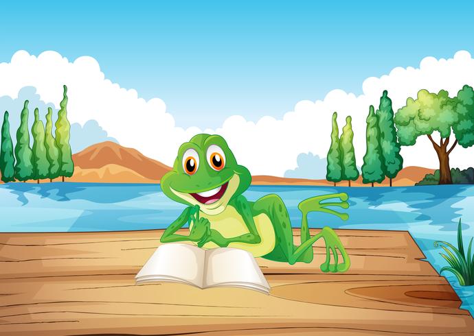 A frog reading a book at the wooden diving board vector