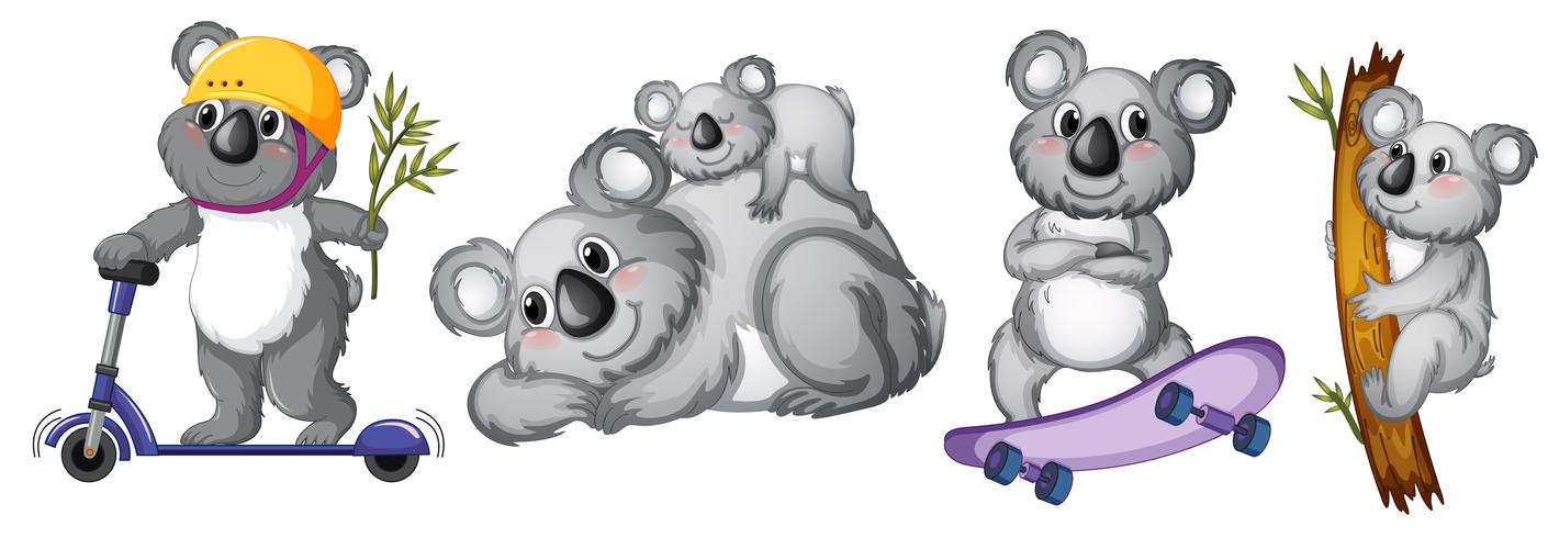 Conjunto de personaje de oso koala vector