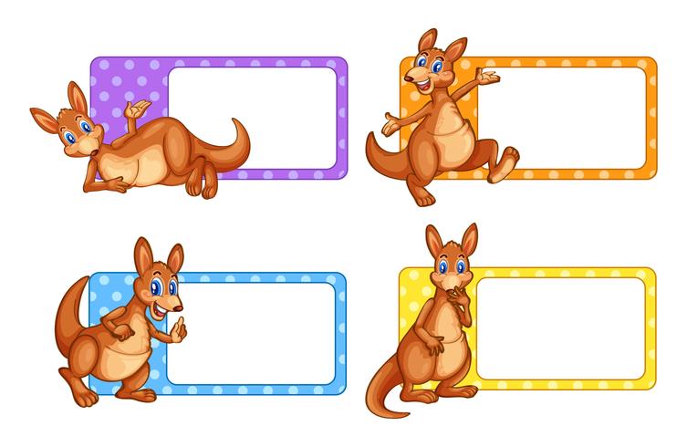 Square labels with kangaroo vector