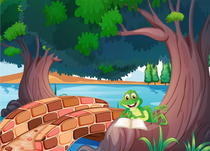 A frog reading under the tree beside a bridge  vector