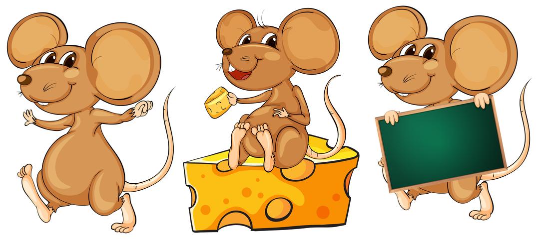 Three playful mice vector