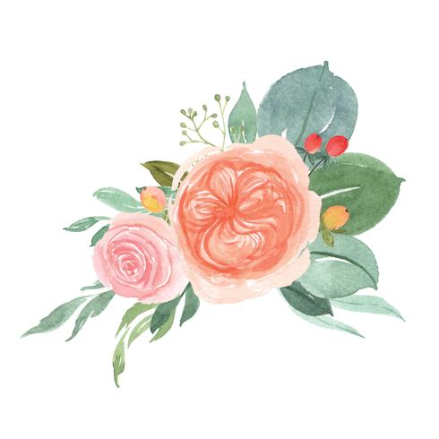 Acuarelas florales pintadas a mano ramos de flores exuberantes ilustración estilo vintage vector