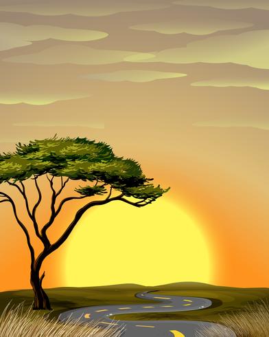 Road to the savanna field at sunset vector