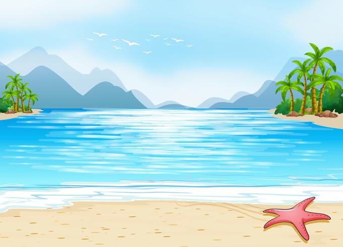 A view of the beach vector