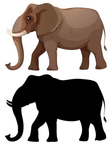 Conjunto de personajes de elefante. vector