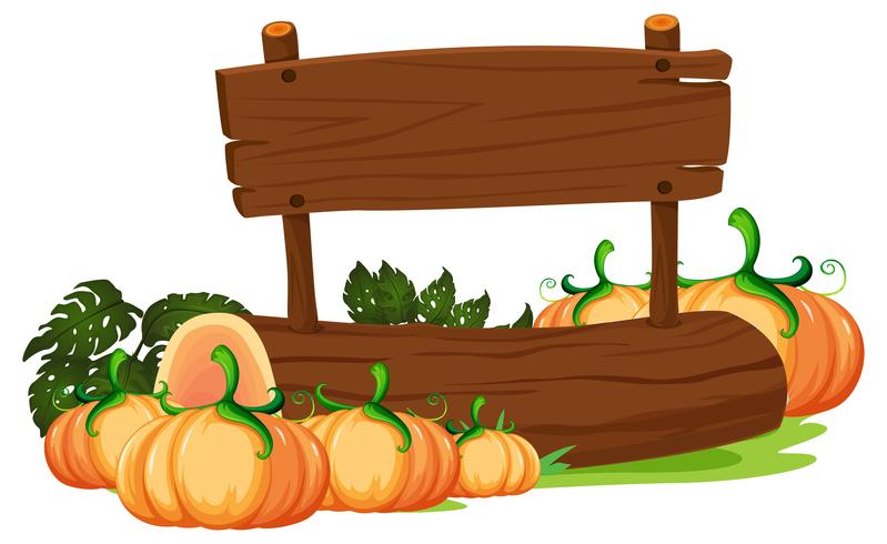 Calabaza oragnica sobre tabla de madera. vector