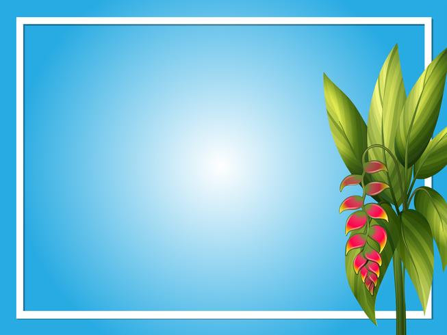Border template with bird of paradise vector