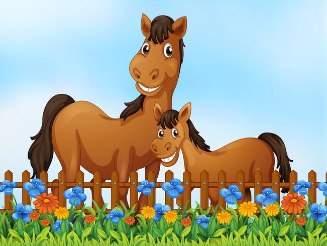 Horse family at flower garden