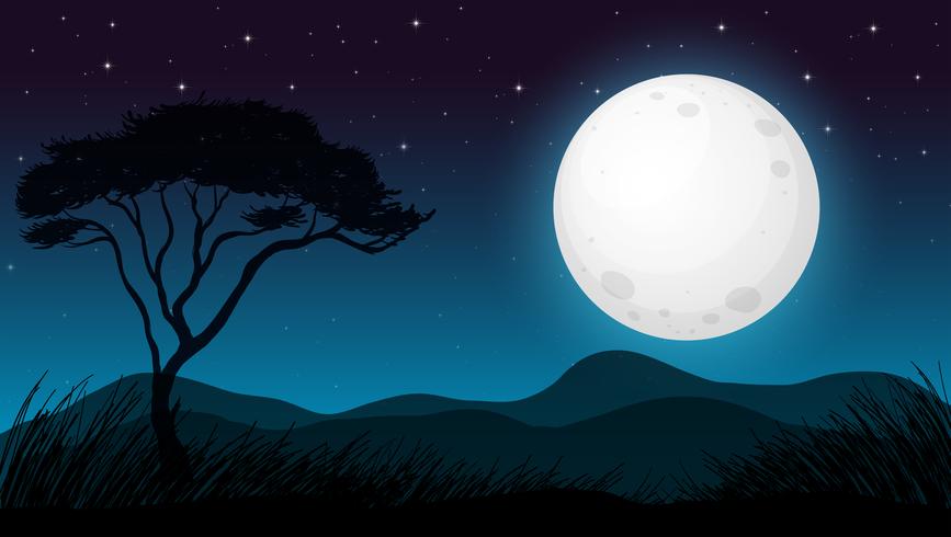 Savanna Forest in Dark Night vector