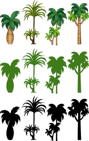 Set of palm tree design vector