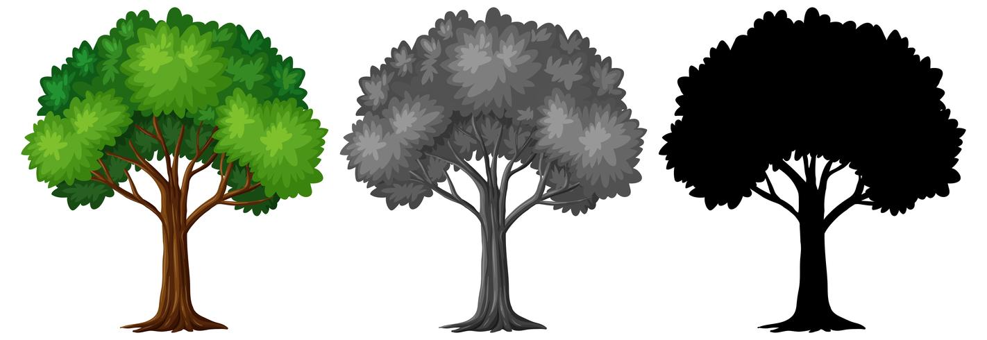 Conjunto de diseño de árbol diferente vector