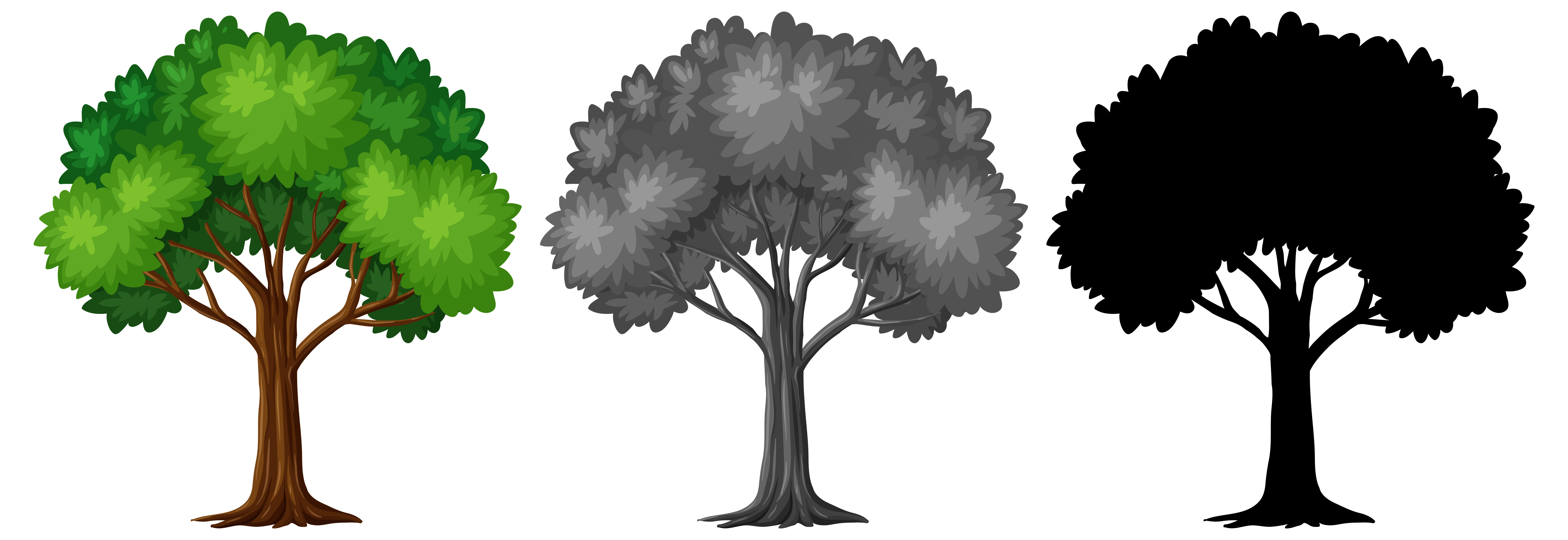 Download Set of different tree design - Download Free Vectors, Clipart Graphics & Vector Art