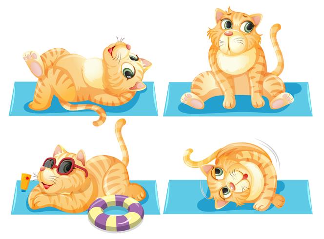 Set of cat relaxing vector