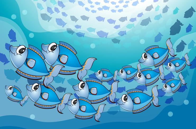 fishes in water vector