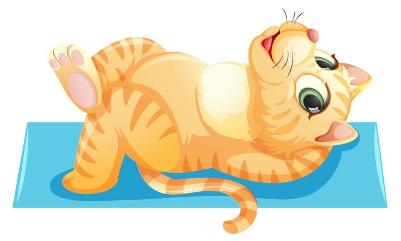 A cat lying on the towel vector