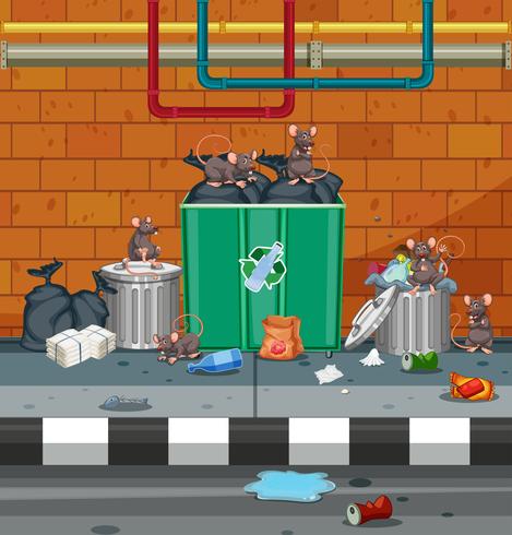 Group of rat in dirty street vector