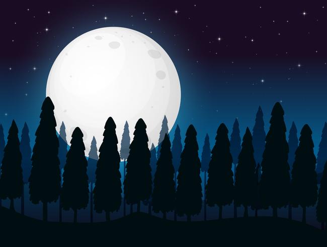 A Dark Full Moon Night 362451 Vector Art at Vecteezy