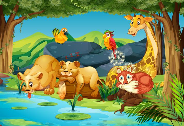 Animals in the forest vector