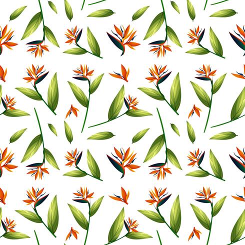 Bird of paradise seamless pattern vector