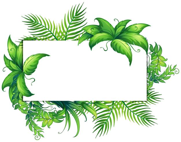 Border template with green leaves vector