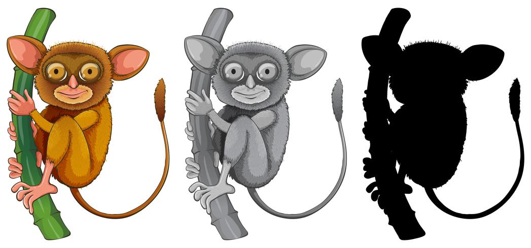 Establecer si el personaje tarsier vector