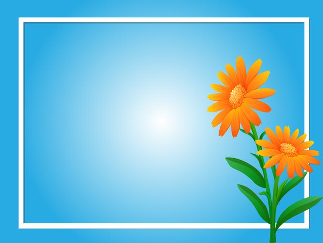 Border template with orange flowers vector