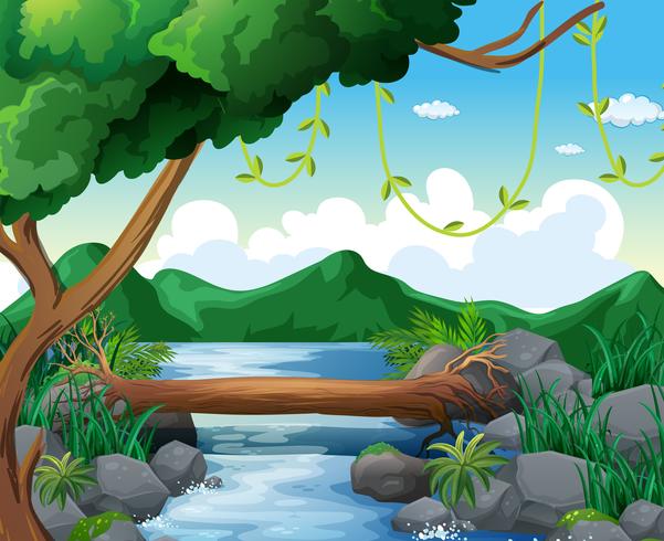 Escena de fondo con el río en el bosque vector